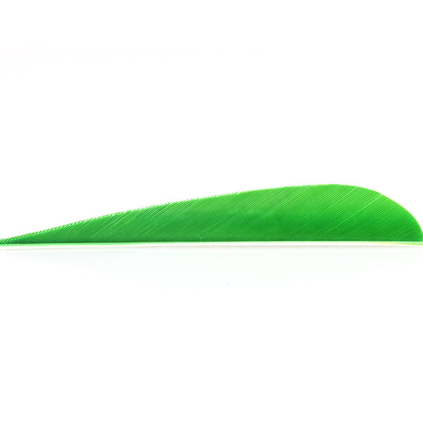 Trueflight Feathers 4" Parabolic