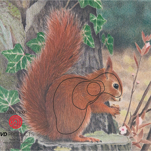 JVD Target Face Animal Squirrel