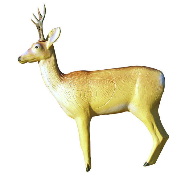 Eleven Target 3D Deer with Horns