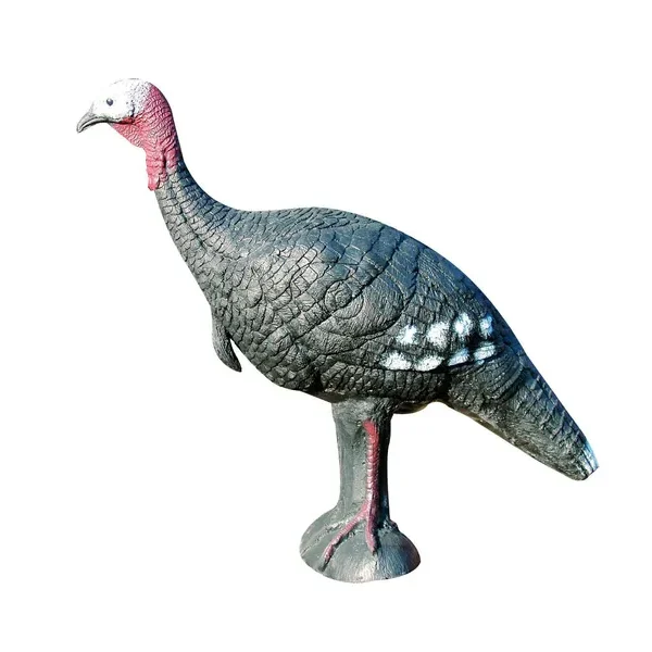 Eleven Target 3D Turkey