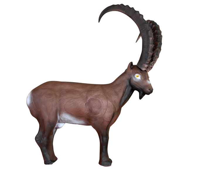 Eleven Target 3D Ibex with Insert and Horns