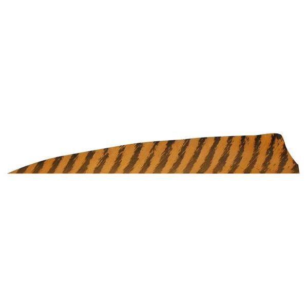 Gateway Feather 4" Shield RW Barred