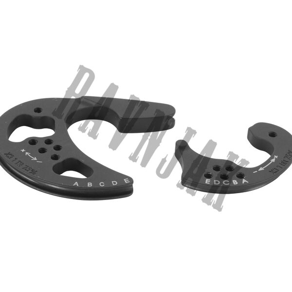Hoyt Modules X3