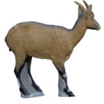 SRT Target 3D Iberian Ibex Female