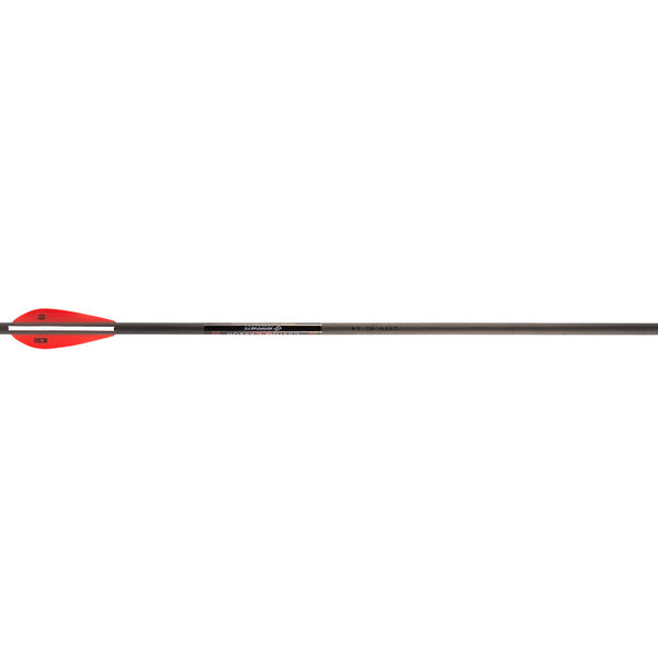 Barnett Bolt Carbon Headhunter Lighted 20"