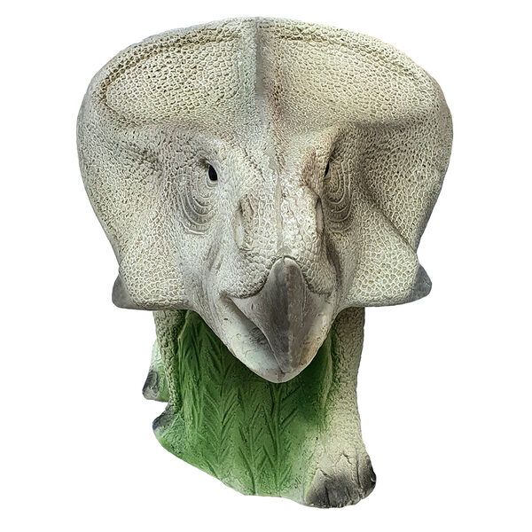Eleven Target 3D Protoceratops with Insert