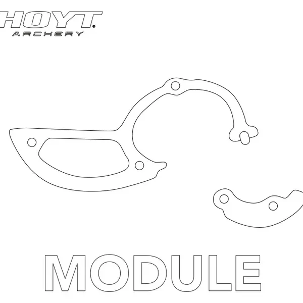 Hoyt Modules HBT