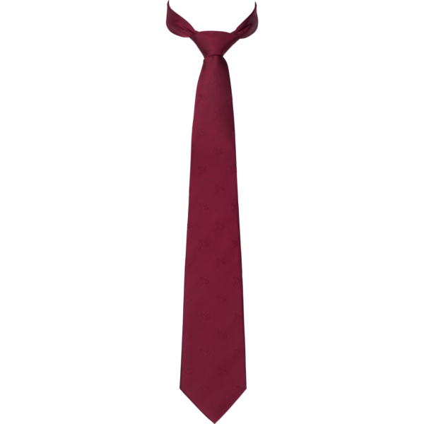 Reytrieve pheasant silk tie